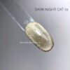 IMG_3056(1)-01_copy_2268x2268 Світловідбиваючий гель-лак котяче око DARK Night Cat 01, 10 мл