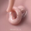 79061689-599E-4C77-BEC5-3DE4D3CB5404 Камуфлюючий гель LUNA Moon Premium gel 16, 30 мл