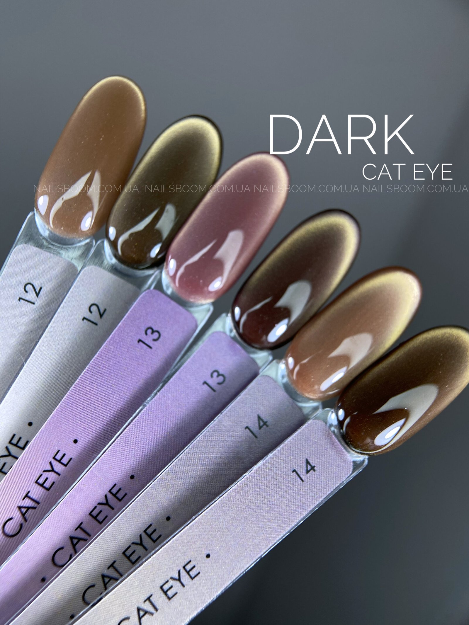 61B5F34C-D868-42F3-A644-B84DEFEA1CA3 Гель-лак котяче око Dark Cat Eye 13, 6 мл