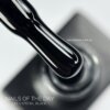 IMG_4052 Гель-лак NAILS OF THE DAY Let`s special Black 033, 10 мл (чорний)