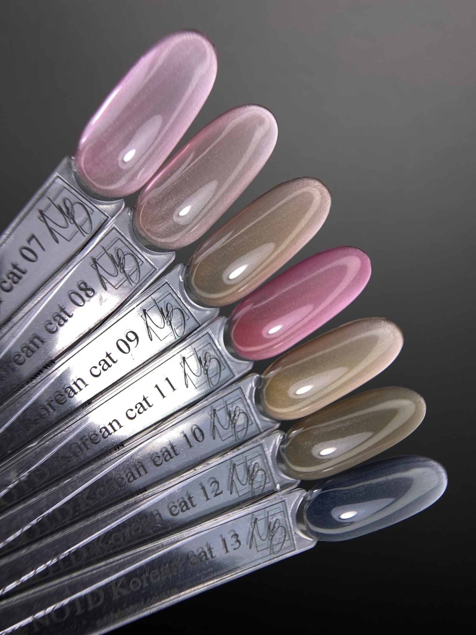 Гель-лак котяче око NAILS OF THE DAY Korean cat eye 10, 10 мл