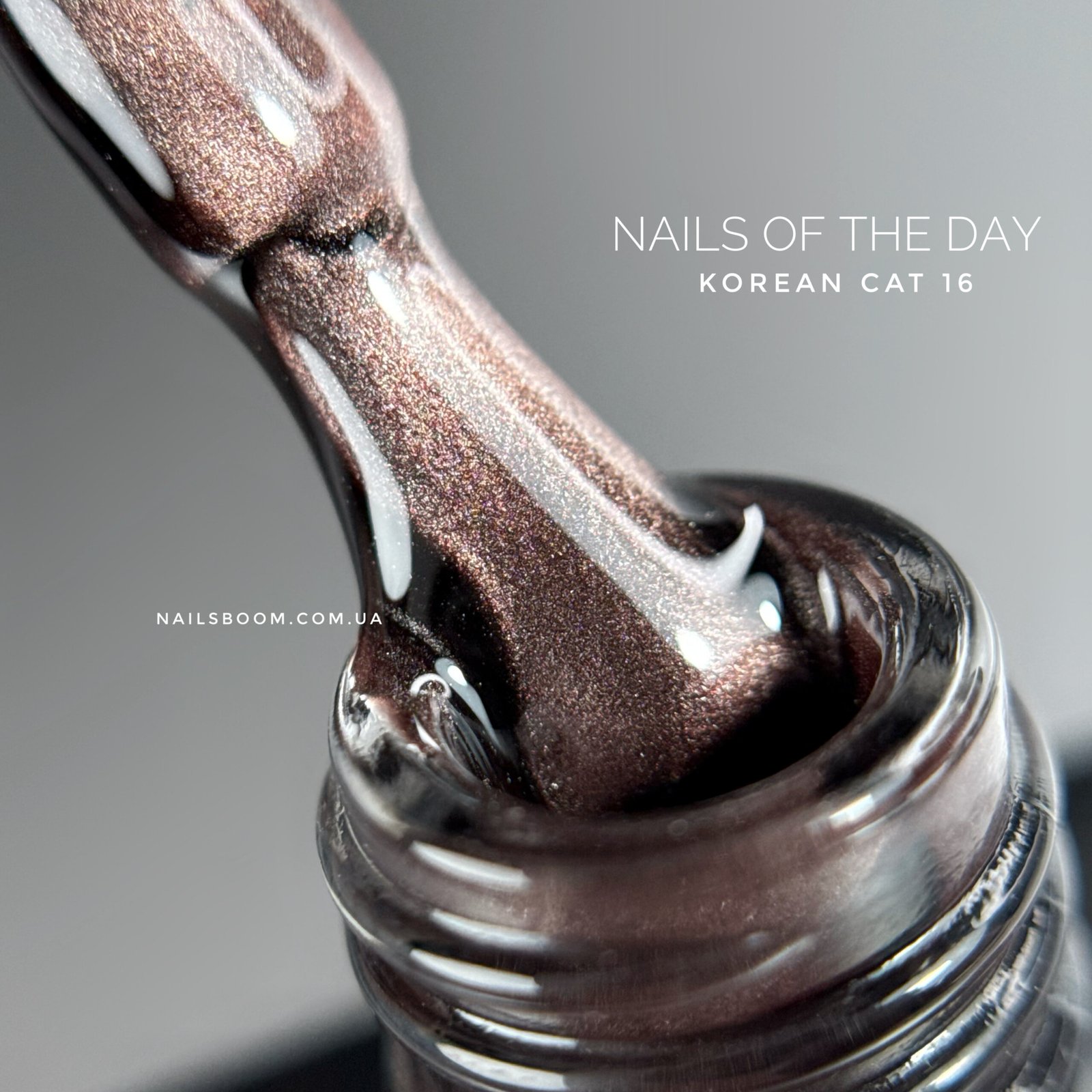 Гель-лак котяче око NAILS OF THE DAY Korean cat eye 16, 10 мл