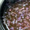IMG_2994 Гель-лак з сухоцвітами Saga Flower 01, 5 мл