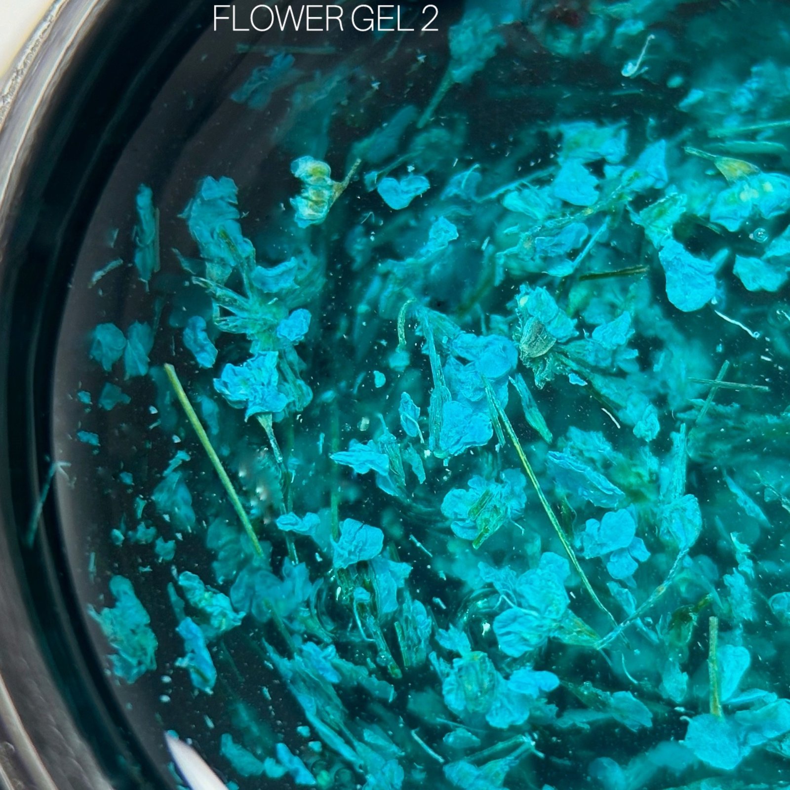 Гель-лак з сухоцвітами Saga Flower 02, 5 мл
