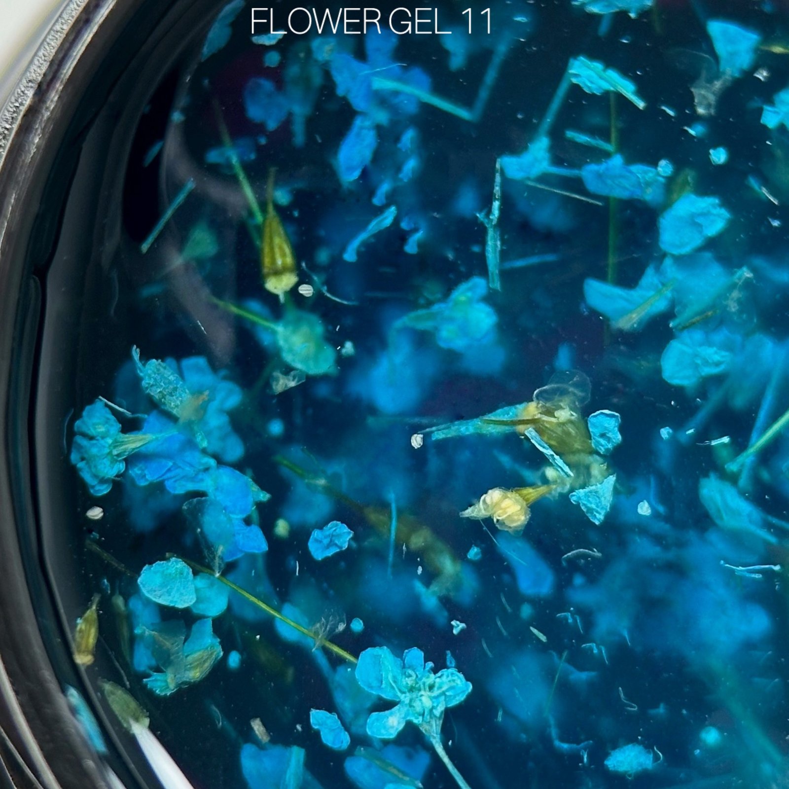 Гель-лак з сухоцвітами Saga Flower 11, 5 мл